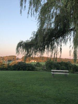 Evening view from the outdoor seating area.