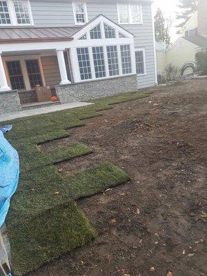 Irrigation /new sod