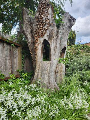 Pretty plants (and creative use of a dead tree) in the courtyard.