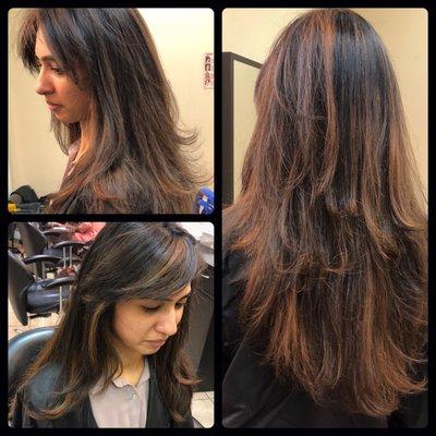 Balayage, haircut, and blow dry!