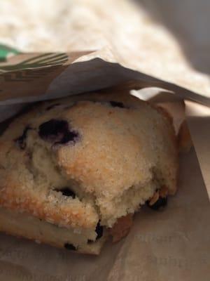 Nice blueberry scone, want some?