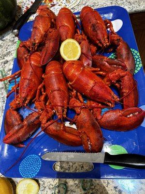 6 small lobster