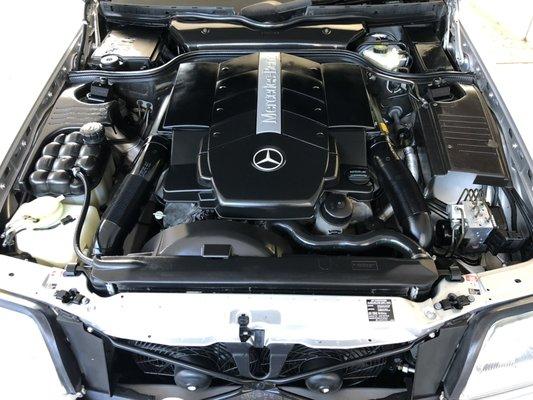 Engine bay cleaning is included in our Platinum Detail