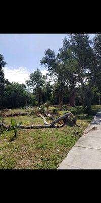 Commercial tree clearing. Contact us for all your tree and land clearing needs!