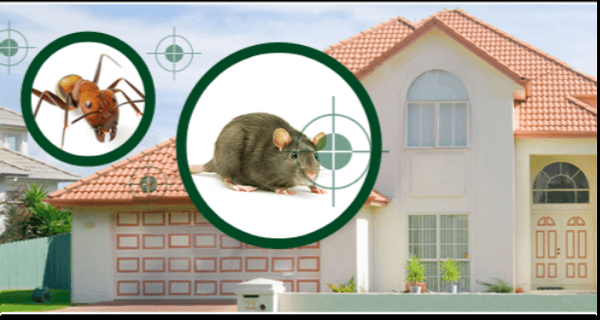 Rodent Control