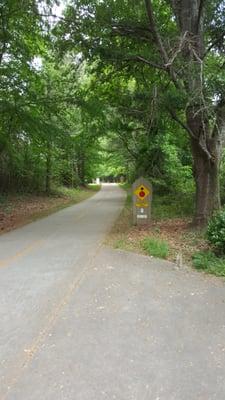 Great staff, rented a bike for the afternoon and had a great ride, if you are in the area and looking for a good experience stop by.