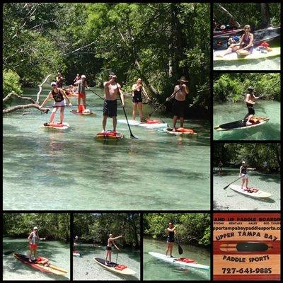 Weeki Wachee springs tour