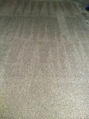 Clean carpet