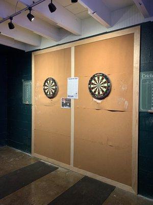 Darts area