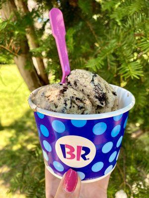 Baskin-Robbins