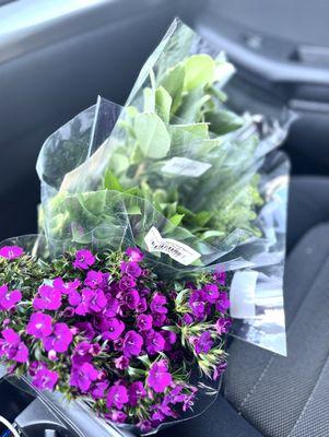 Front Seat: (Trader's Blooms Have The Perfect Price)