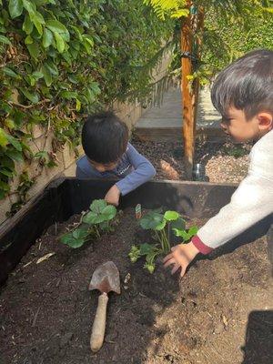 Gardening