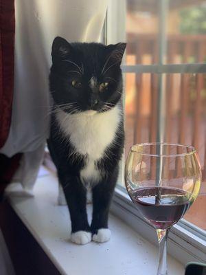 Tuxedo