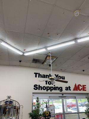 Ace Hardware Brenham