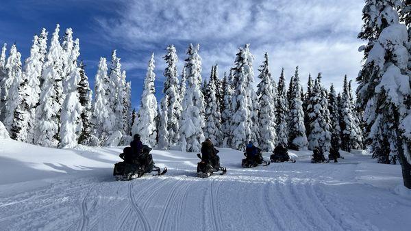 Selkirk Powder Guides