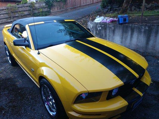 2006 Ford Mustang, after detailing.