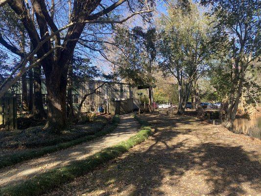 View from the rear lot. Back lot was very spacious and shaded for our 32 ft camper.