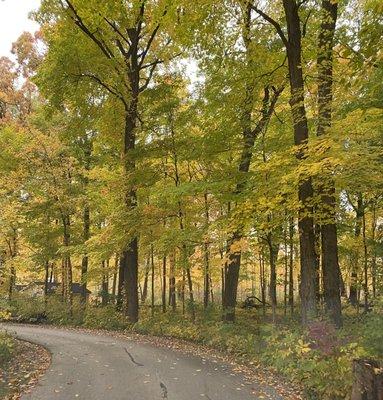 Ryerson Woods Forest Preserve