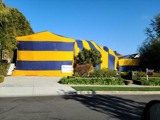 Cal Termite Fumigation.