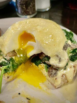 Florentine Benedict