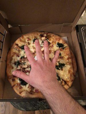 My hands are small and they still are almost as big as this 21 dollar pizza.  Bought a 16 dollar margarita and was the same rinky dink size