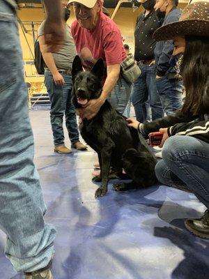 Barker Haus Kennels