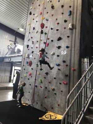 Kids wall! No specific routes here, just two autobelays with plenty of holds for the littles to play on.