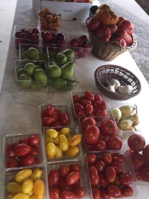 Local tomatoes, peppers and pears!