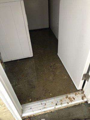 Standing water in laundry area.