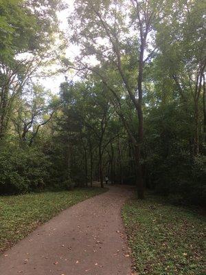 Deerwood park trail