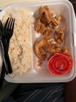 Sweet and sour chicken with steamed white rice