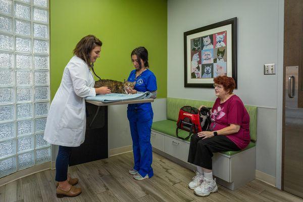 Dr.Andersen with a patient in our exam room.