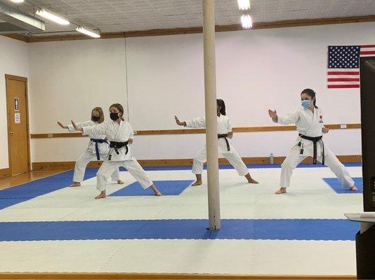 Blue, brown, and black belts practicing with their sensei.