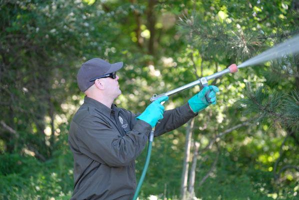 Tree health, tree spraying, diagnosing and treating trees, plants and shrubs in and around Saginaw, and the Great Lakes Bay R...