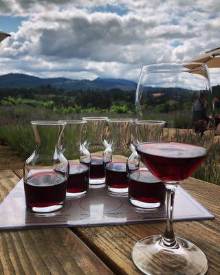 Pinot noir flight & scenery at lower picnic tables by lavender bushes.