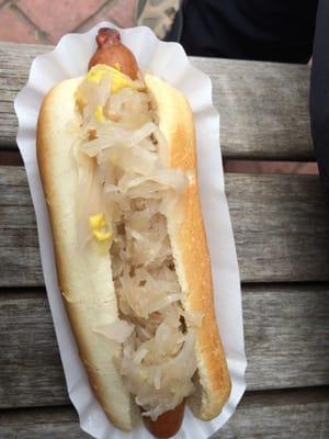 Hotdog with mustard and kraut