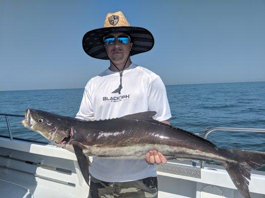 Williamsburg Cobia fishing