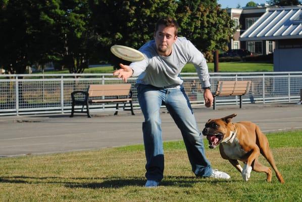 Garrett Stevens of Alpha and Omega Dog Training working Rambo with a frisbee. Call today to get your dogs working!