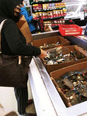 Blue crabs $5.99 per lbs.. Go when they get them in. Otherwise you'll get the dead ones which arent good