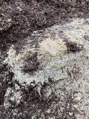 Close up of sand layer showing how thick it was