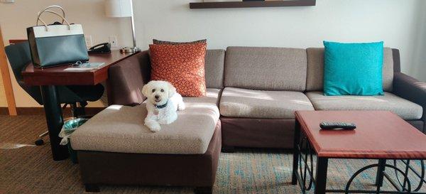 Nice sitting area with pull-out bed.