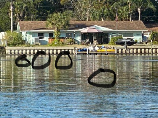 Manatee Paddle