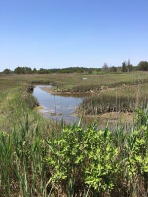 Okie Nature Wildlife Preserve