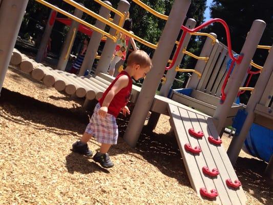 Play structure in the fenced toddler area