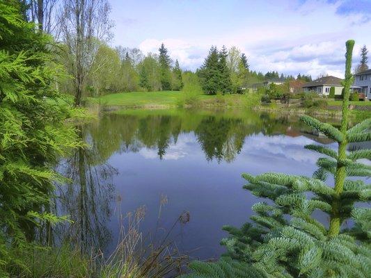 These is water in play on several holes and other ponds on course.