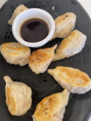 Pan fried Dumplings