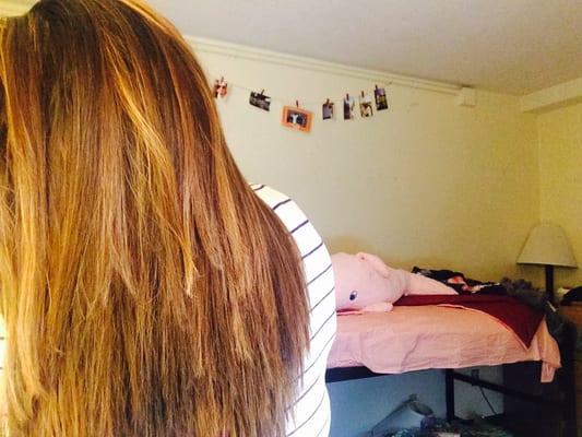 Highlights by Vicki