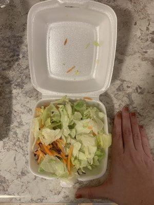 The "large" $7 house salad at TJ's...no dressing included.