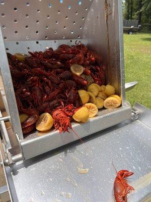 Select crawfish