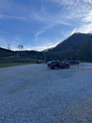 Boyd Mountain Christmas Tree Farm